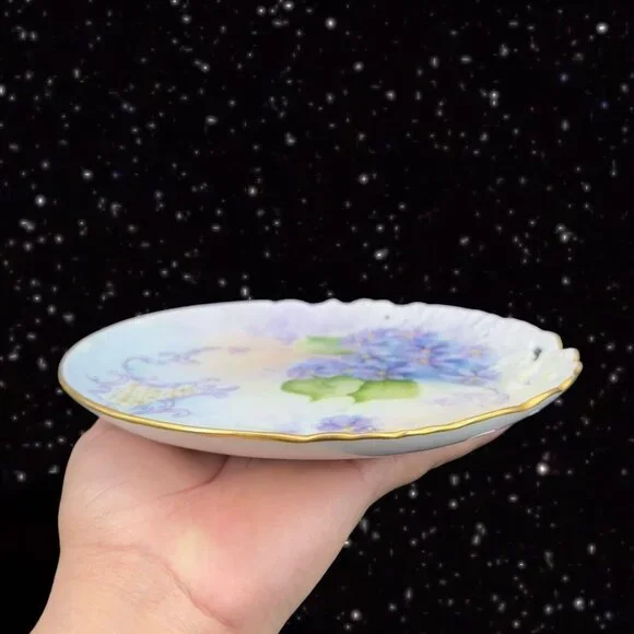 Antique Hand Painted Plate Dish Fine Porcelain Painted Purple Flowers Signed MLN Accents